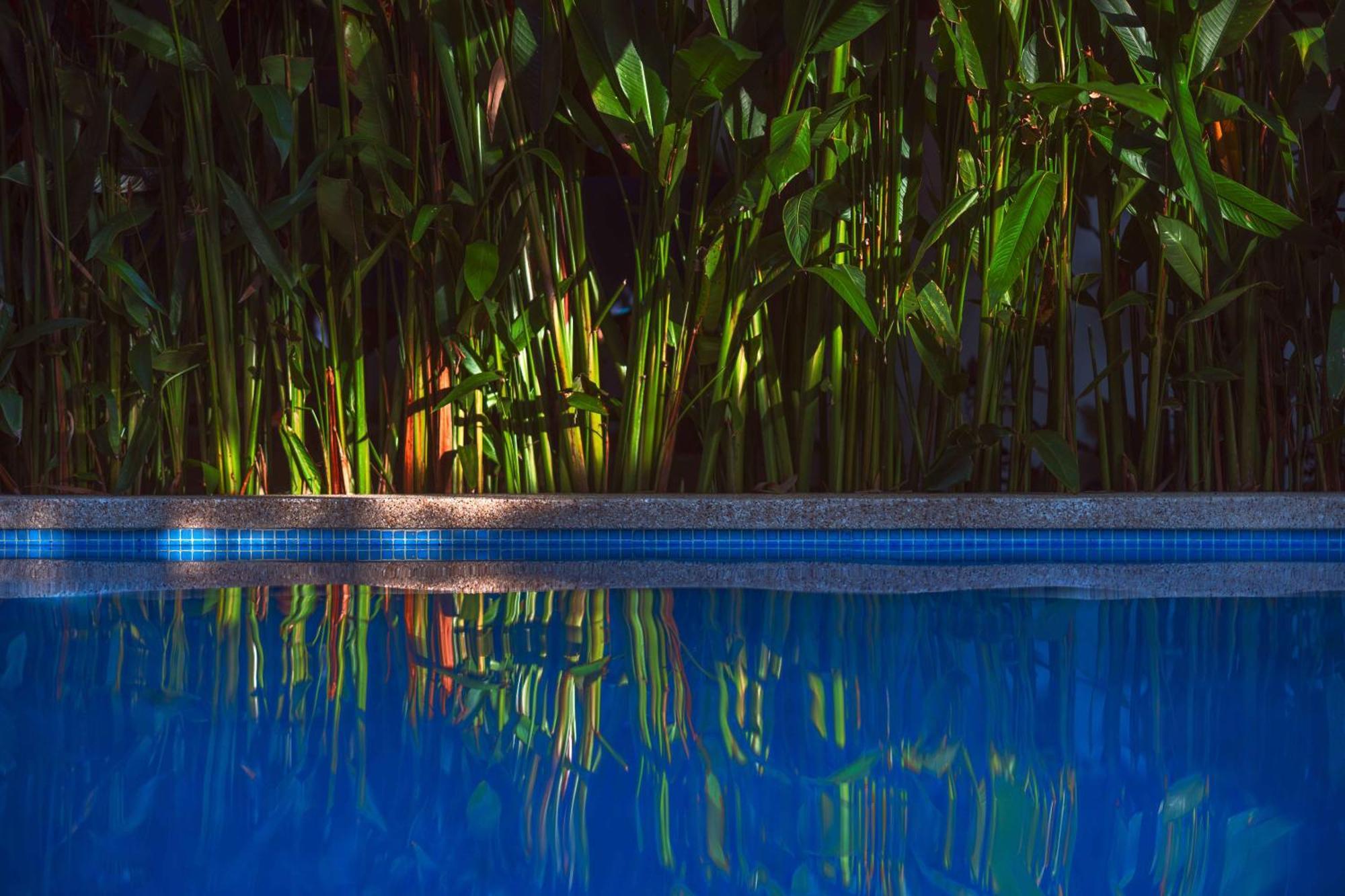 Black Bamboo Puerto Viejo de Talamanca Extérieur photo